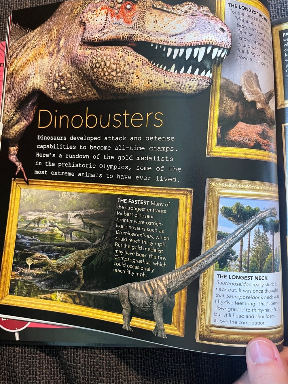Scholastic Dinosaur Face Off! Book action packed with photos on every page - Picture 7 of 12